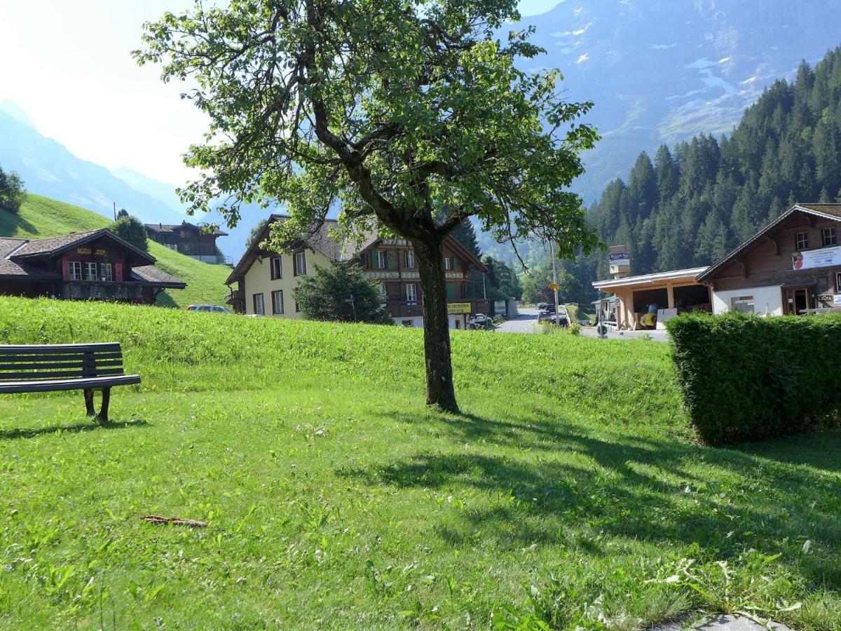 Apartment Chalet Schwendihus-6 By Interhome กรินเดลวัลด์ ภายนอก รูปภาพ