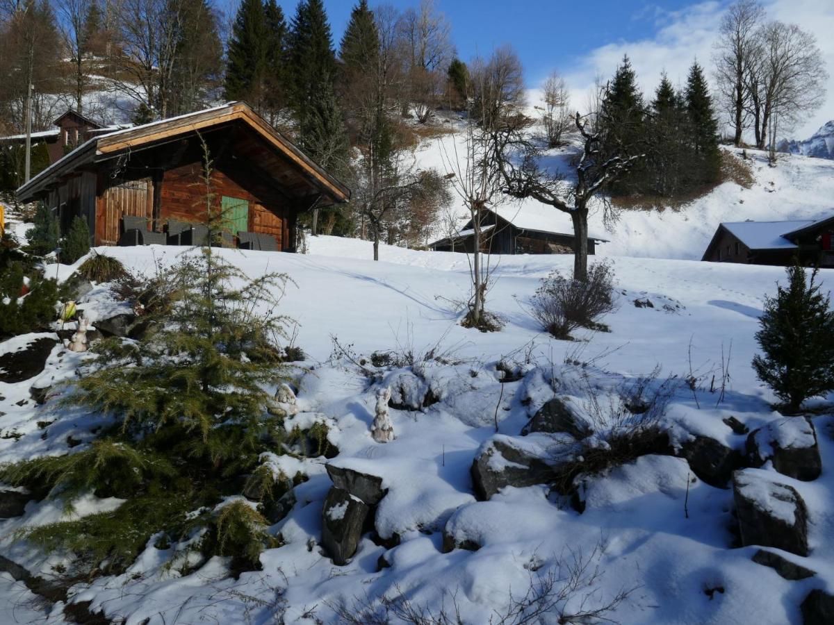 Apartment Chalet Schwendihus-6 By Interhome กรินเดลวัลด์ ภายนอก รูปภาพ