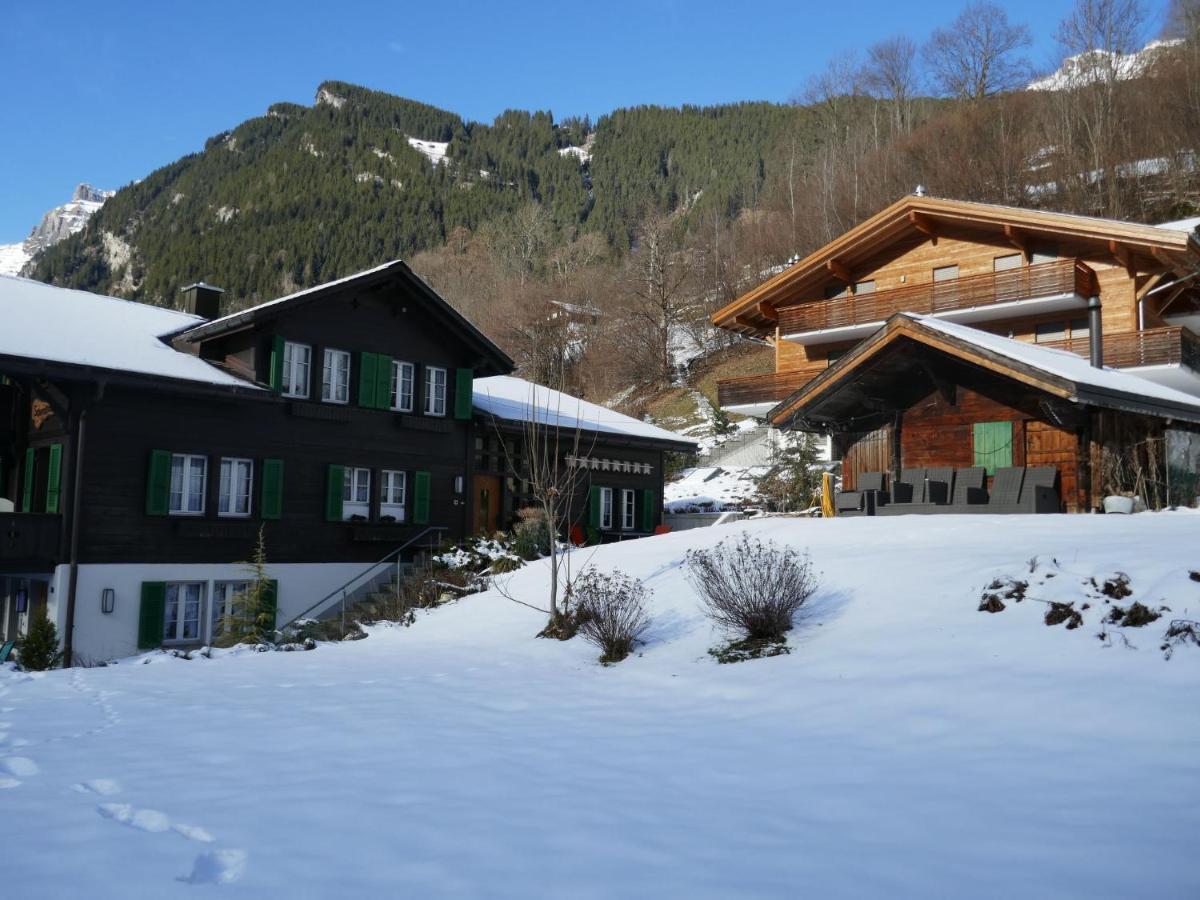 Apartment Chalet Schwendihus-6 By Interhome กรินเดลวัลด์ ภายนอก รูปภาพ