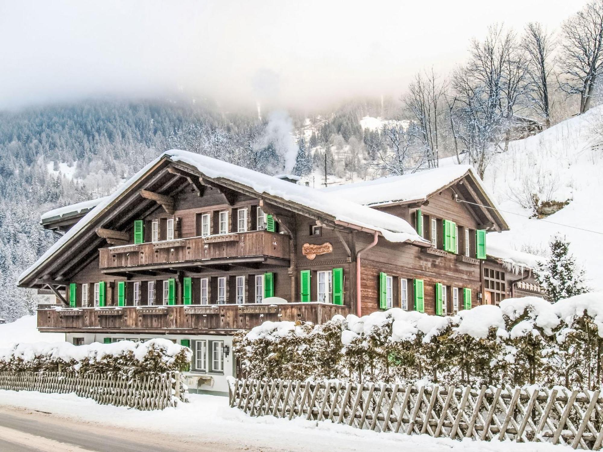 Apartment Chalet Schwendihus-6 By Interhome กรินเดลวัลด์ ภายนอก รูปภาพ