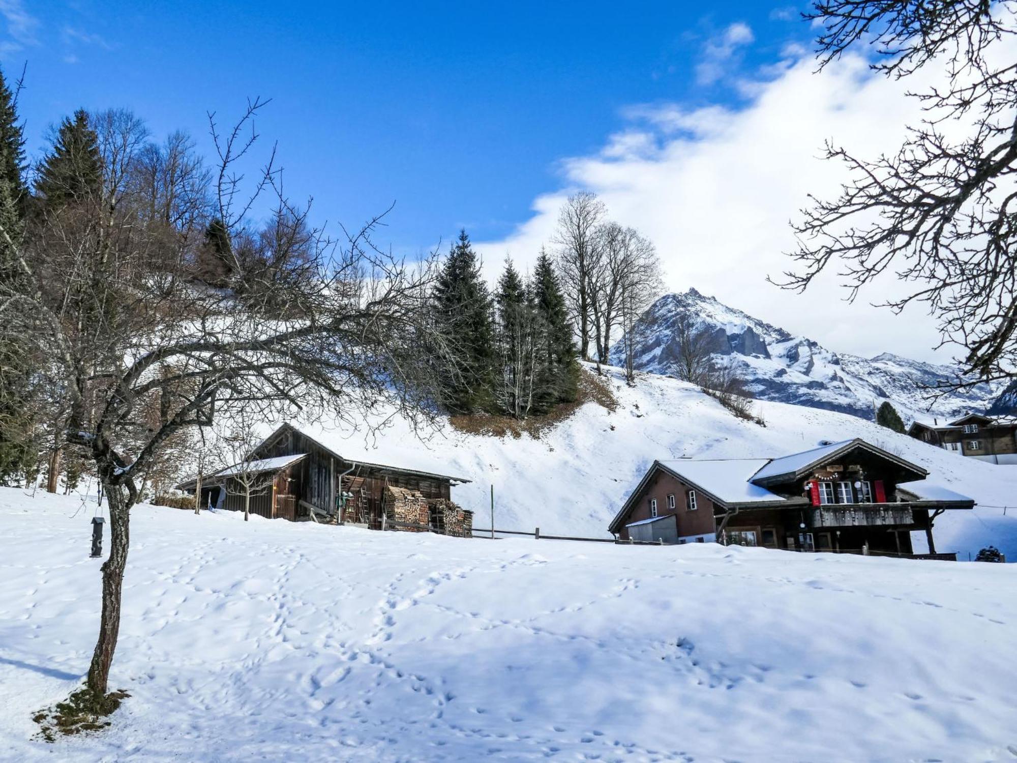 Apartment Chalet Schwendihus-6 By Interhome กรินเดลวัลด์ ภายนอก รูปภาพ